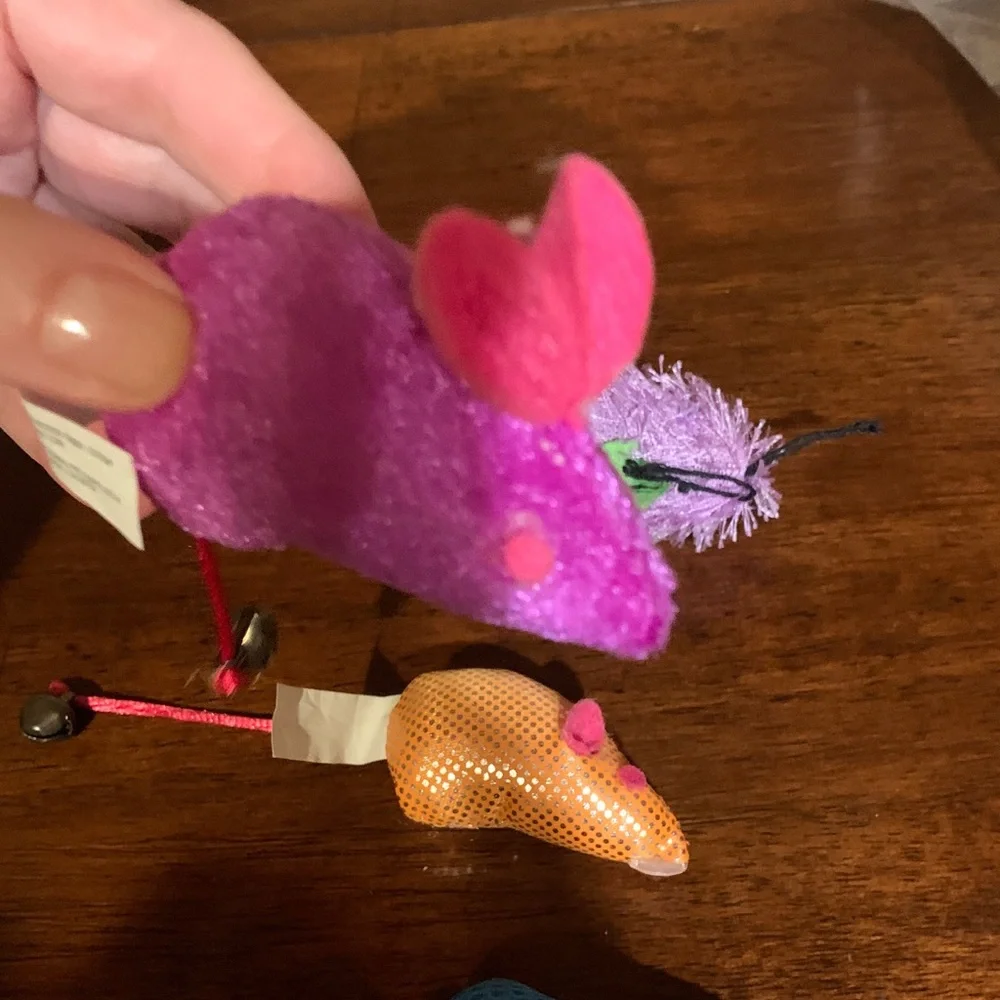 Colorful Bird Toy Set 4 with catnip inside, must have for cats toys!